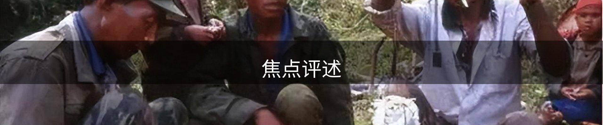 焦点评述